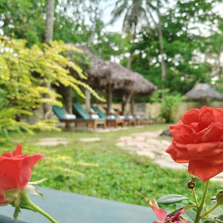 Marari Beach Bungalow Resort Alleppey มาราริคุลาม ภายนอก รูปภาพ